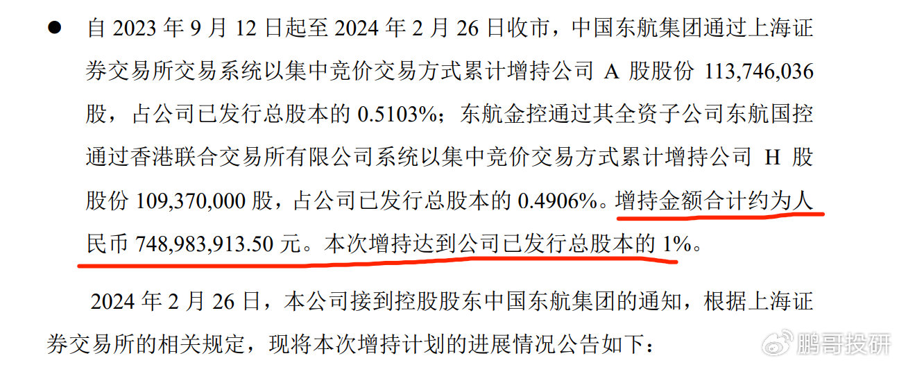 大股东增持趋势分析，数字化转型对行业影响及应对策略探讨