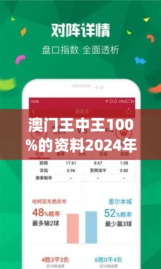 2024澳门王中王100%期期中,精细解答解释定义_超级版19.902