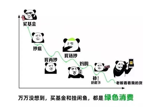 揭秘买基金背后的真相，数据分析与技术推动数字化转型的力量