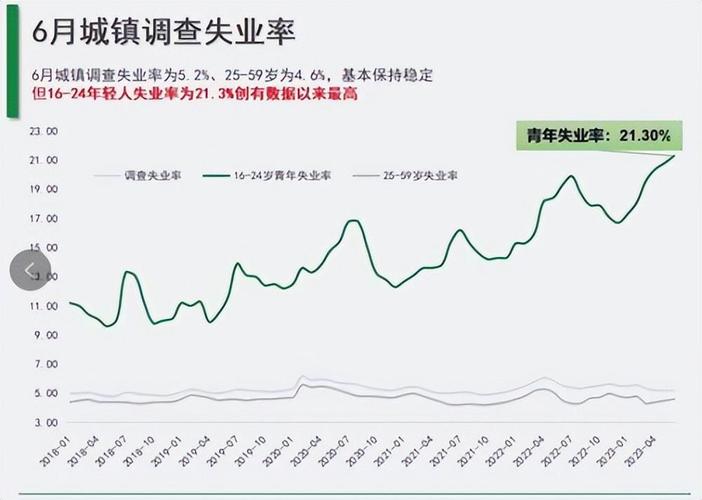 一、项目背景概述