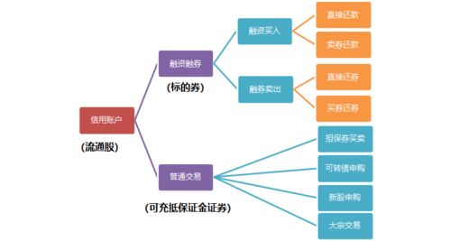 机构与散户交易行为深度解析，策略、数据与技术的差异研究