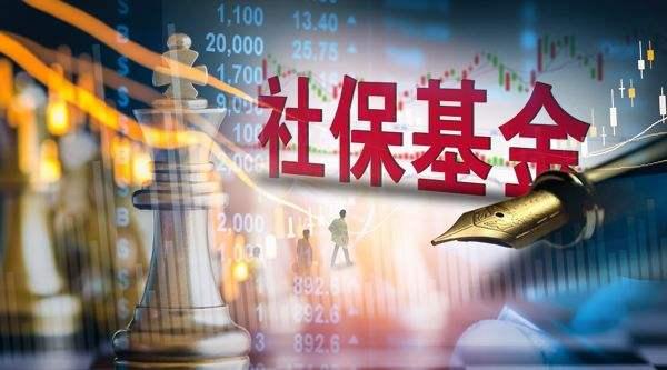 基金收益率与行业数字化转型背景下的数据分析与技术应用考量