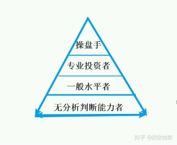 数字化转型中的投资操作策略与数据分析技术应用解析