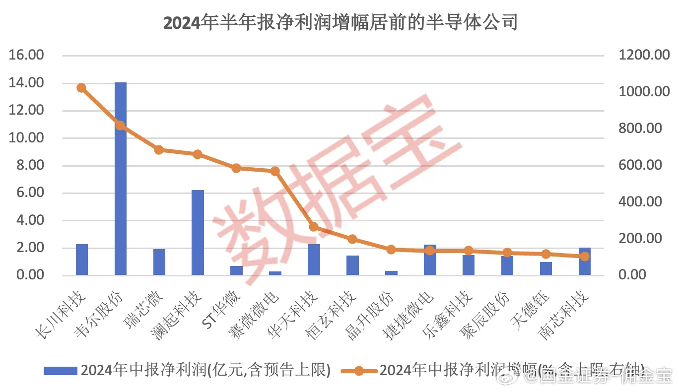 行业半年度报告净利润排名深度剖析