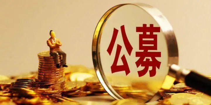 权益公募基金数据整合与数字化转型深度解析