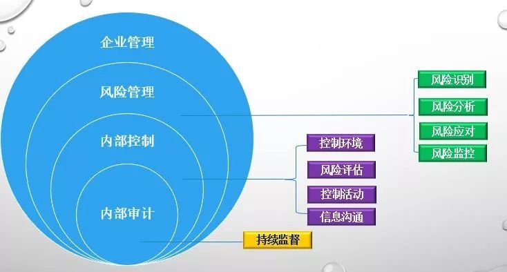 风险管控部门在数字化转型中的核心作用与重要性分析