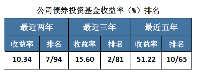 债券基金收益率解析，影响因素与投资策略探讨