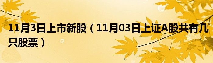 新股上市投资机会与挑战，聚焦十月十四日展望分析