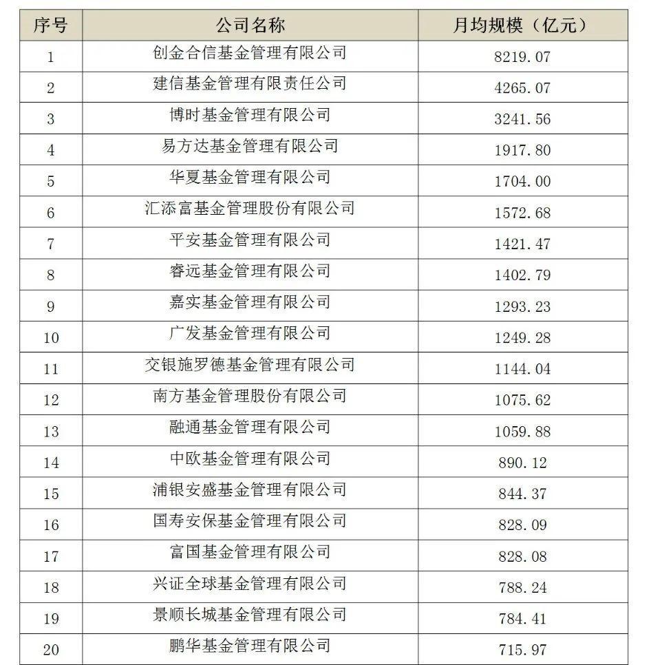 公募基金与私募基金差异探讨，投资策略与风险管理对比分析