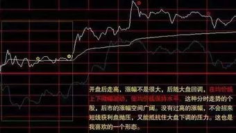 散户、中户与大户，投资领域的角色解析与标准探讨