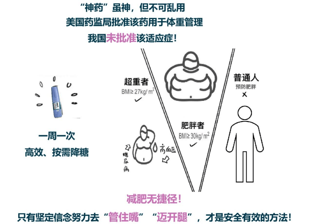 司美格鲁肽的原理研究