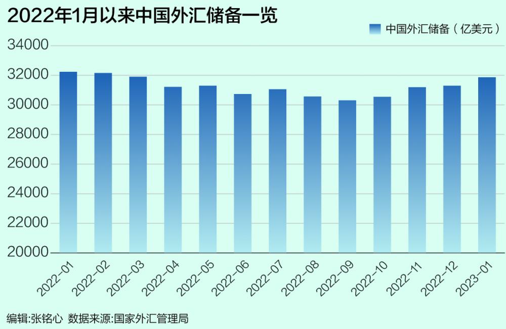 外汇市场预期解析，概念与影响