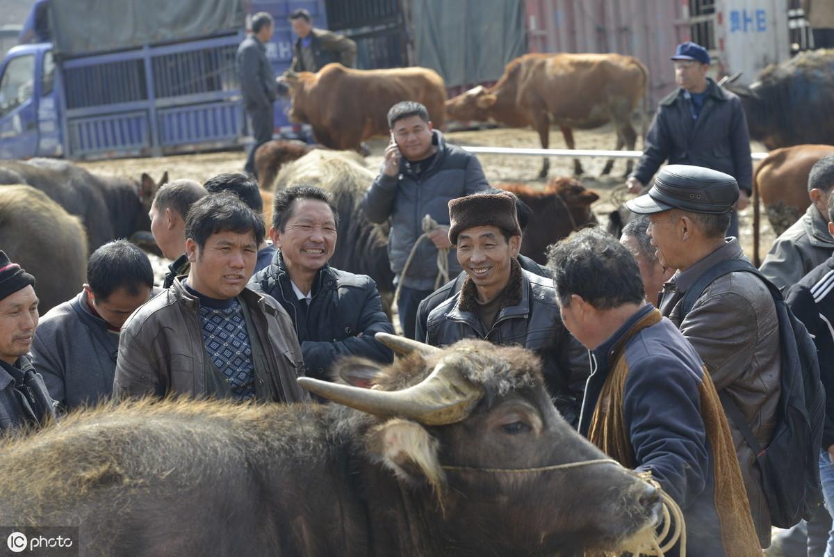 比特币牛市再启，数字货币的新机遇与挑战探索