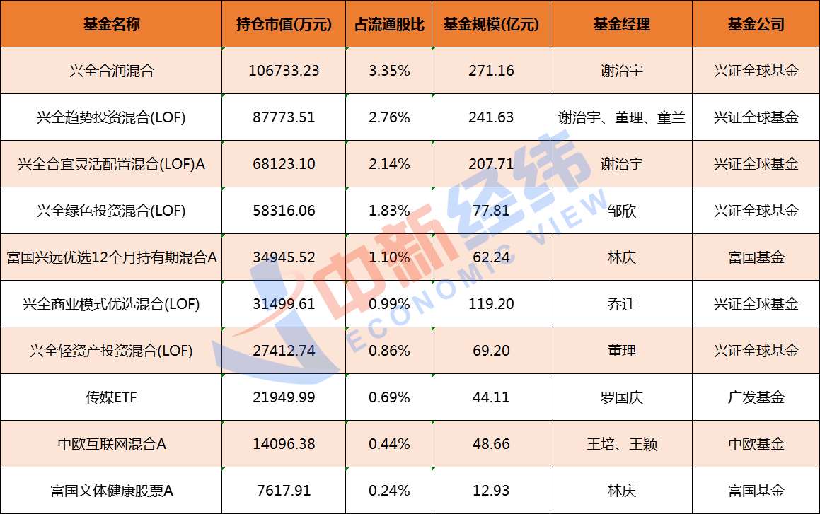 排名前十股票型基金的投资策略与表现深度探究