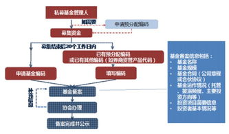 主动型基金的分类与投资策略解析