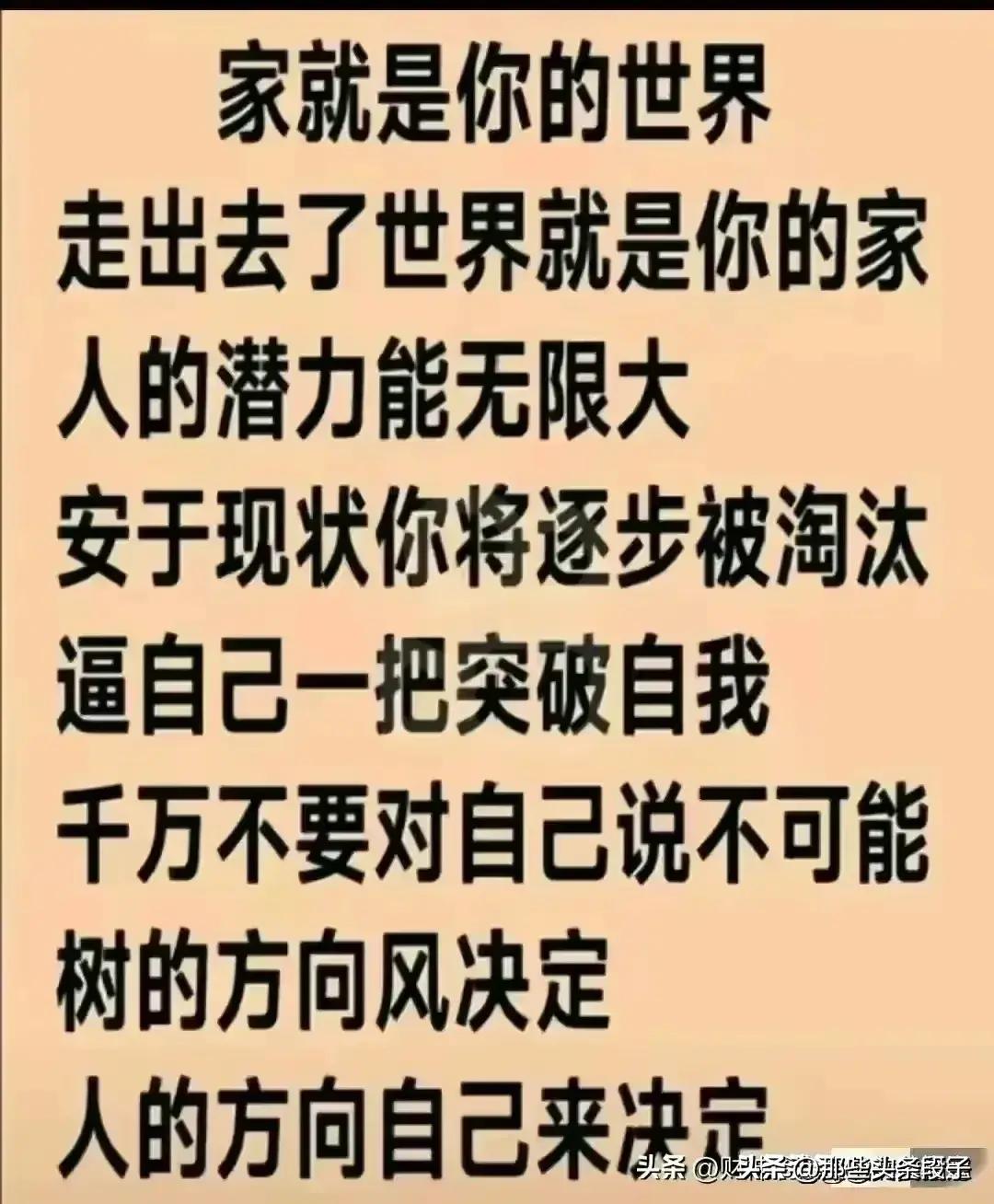 2024年活牛价走势预测及市场趋势分析