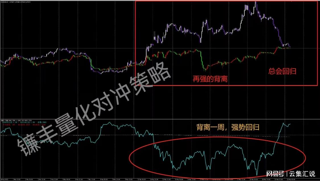 外汇对冲策略深度解析，运作机制与潜在风险探讨