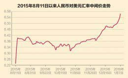 外汇投机活动与汇率波动影响的深度探究