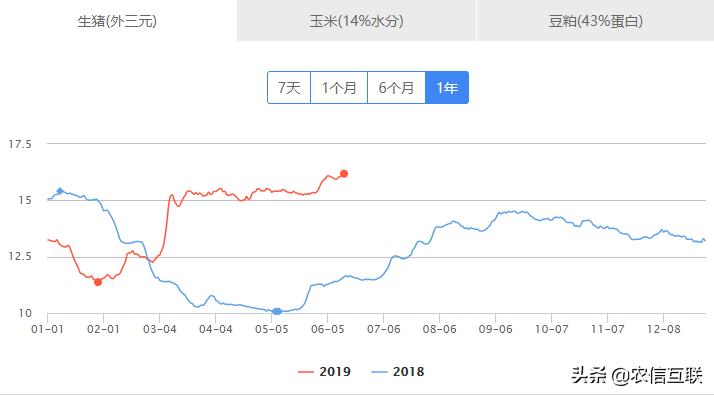 豆一豆二历史价差探究，大豆市场的波动与演变分析