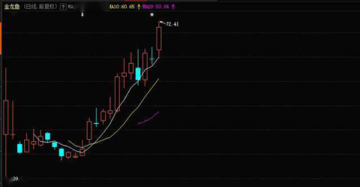 金龙鱼股市行情全面解析