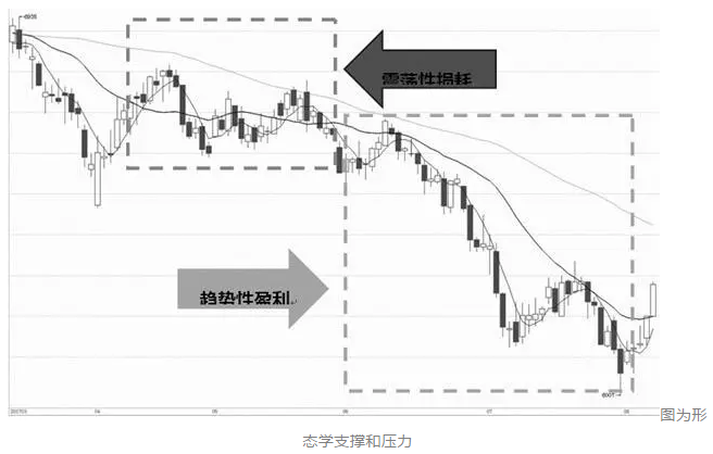 成交量与持仓量解析，市场交易两大核心指标深度对比与解读