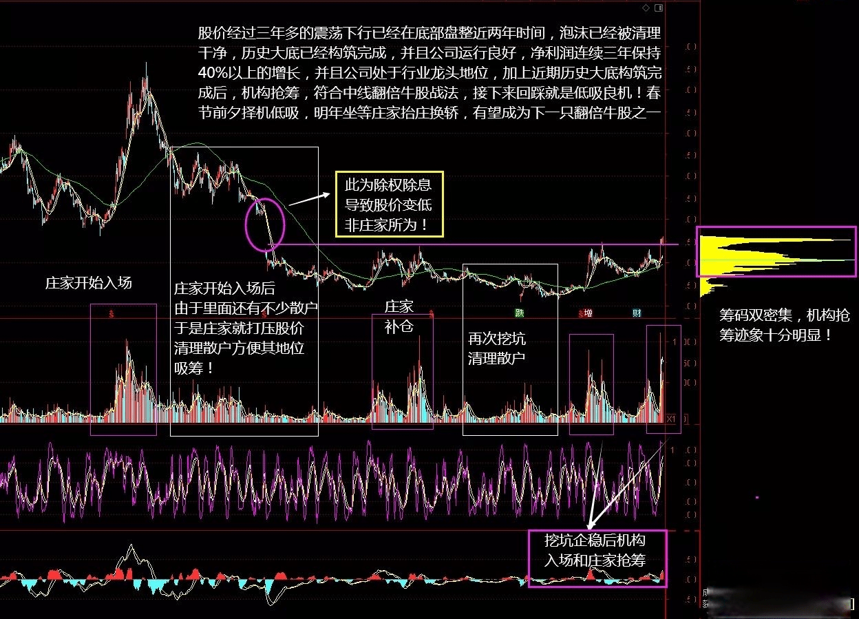 各行业龙头股票解析及前景展望大全