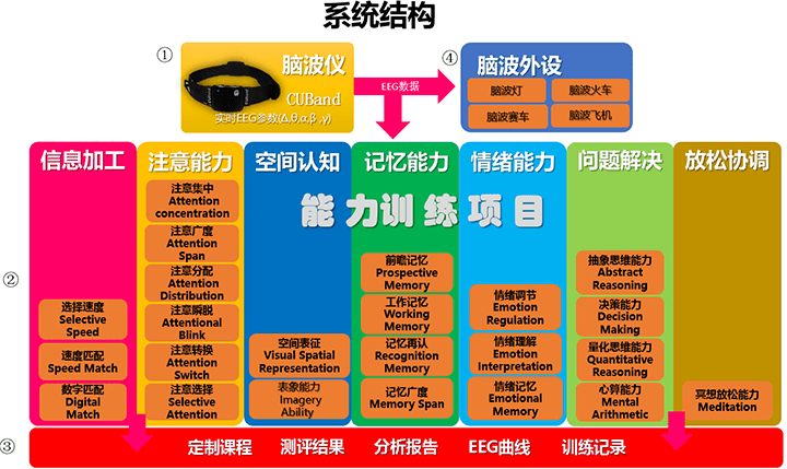 科创板认知测评研究报告，XXXX年视角分析