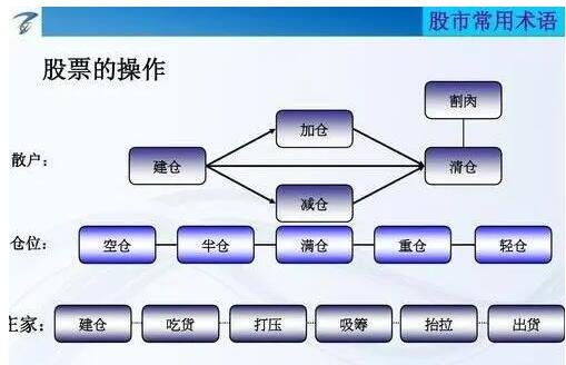 新手股票买卖流程详解指南