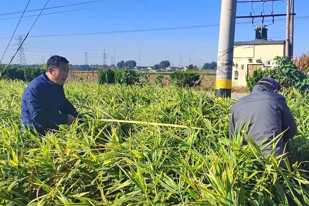 期货商品套期保值策略、应用及风险管理详解