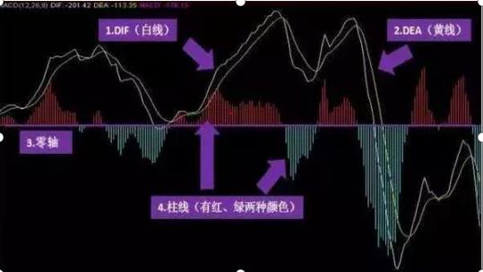 私募股权基金，全球投资的新引擎