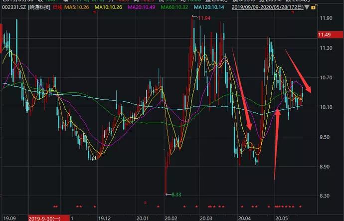 上市公司大股东的角色与意义解析