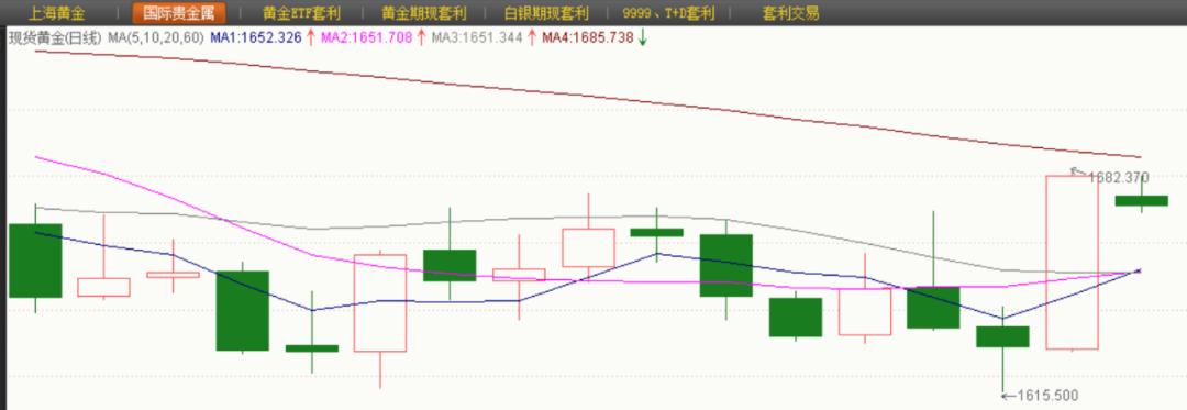 面对失业率20.5%的挑战，现状解析、成因探究与应对策略