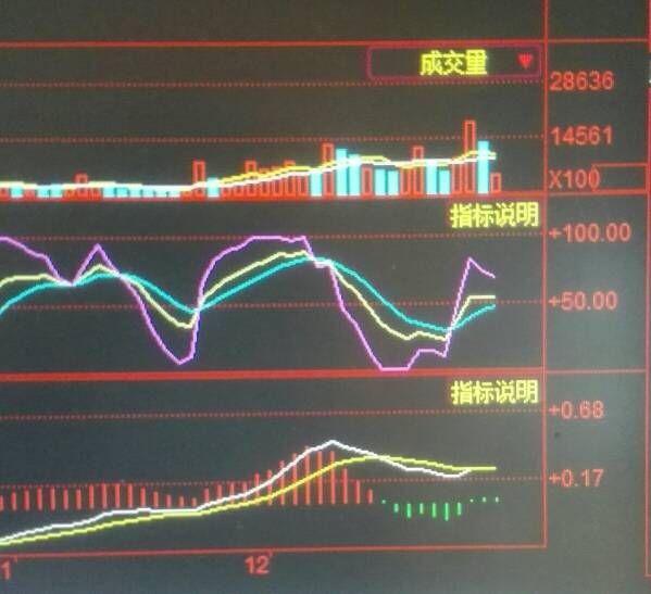 解禁前股价走势探究，未知因素下的股市拉升现象分析