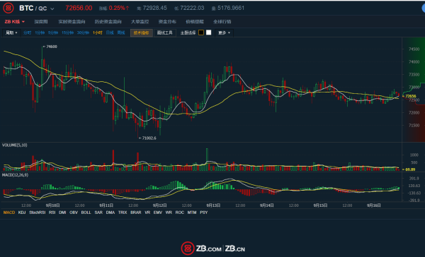 比特币二十年走势图，数字黄金的崛起与蜕变之路