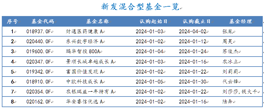 新发基金发行概览表