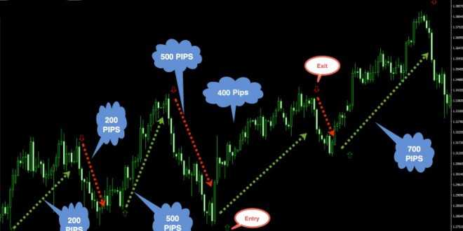 外汇指标免费下载，掌握金融市场的关键资源秘籍