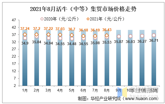 牛市场与行情价格的深度解析