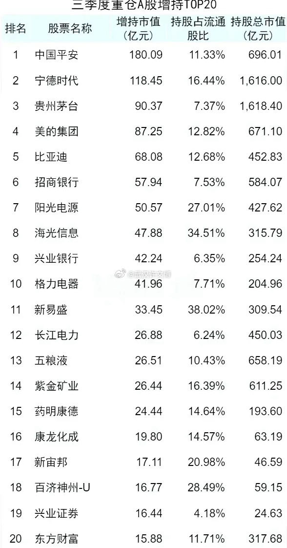 国家大基金重仓股票的投资趋势与市场洞察分析