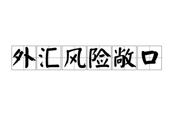 外汇风险敞口，企业风险管理面临的新挑战