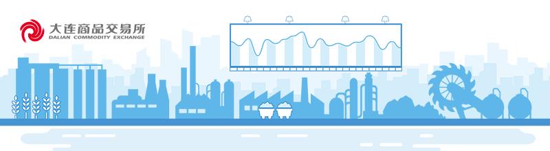 大连大豆期货价格走势深度解析与未来展望