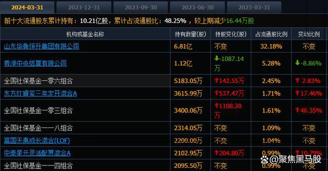 揭秘2024国家队十大重仓股，未来投资风向的指引