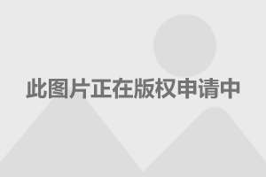 上海租房价格深度解析、趋势展望及最新一览表曝光