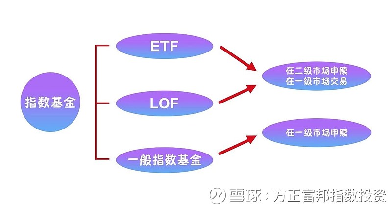 指数基金投资策略深度探讨