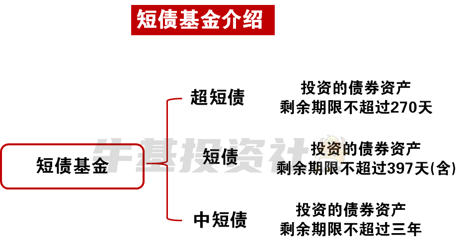 货币基金与债基金的关键差异解析，投资工具的选择与理解