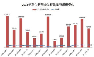 市场波动下的基金投资风险，新基金会是否会跌？