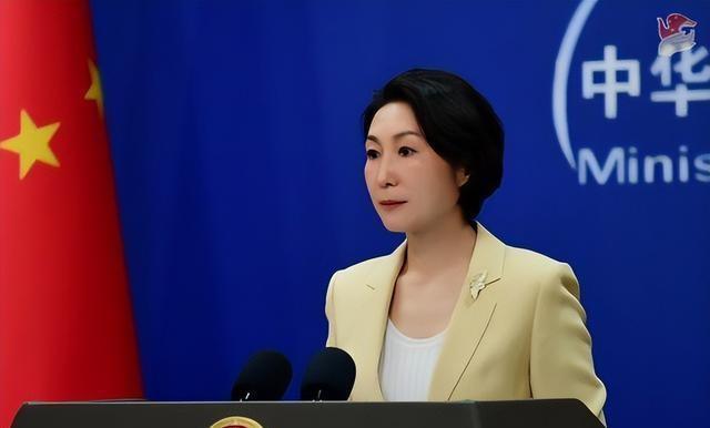 美国降息对中国基金会的影响及基金增长趋势探讨