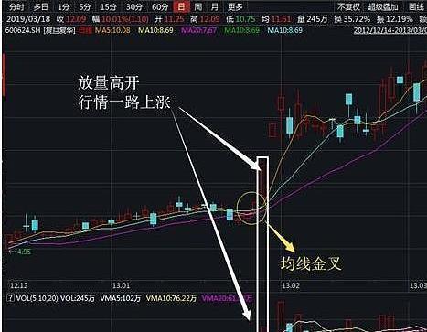 探究未来之星，2024年绩优股展望分析