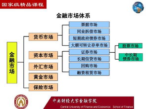 资本市场交易对象深度解析，内涵与外延探究