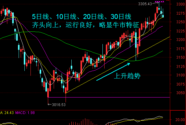 牛市走向深度解析与未来预测