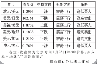 外汇定价机制深度解析与探讨